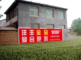  扶沟如何让墙体广告展现最大化效果