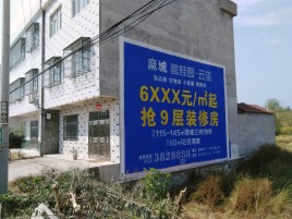  扶沟墙体广告质量分析