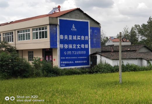 扶沟决定墙体广告价格的因素有哪些?
