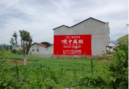  扶沟做墙体广告的意义