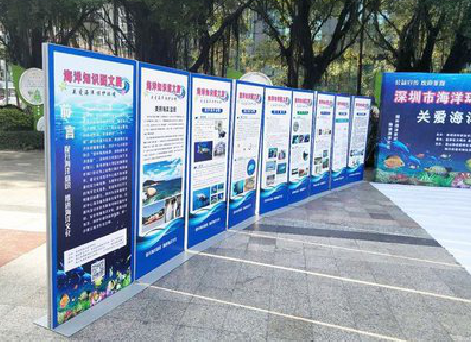  扶沟KT板的种类和知识。